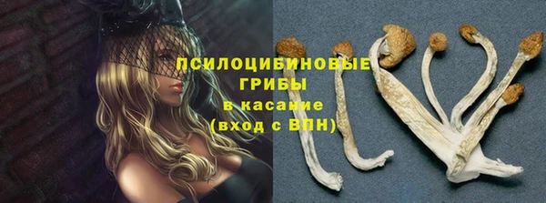 молекула духа Алзамай
