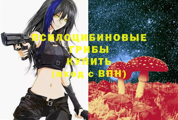 молекула духа Алзамай