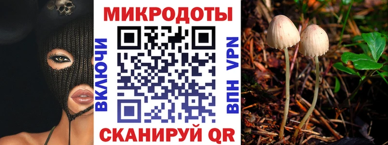 купить   Белоярский  Галлюциногенные грибы MAGIC MUSHROOMS 